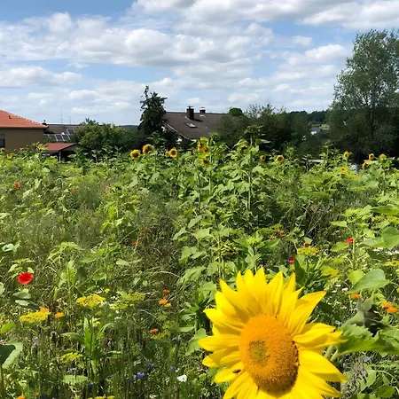 Carpe Diem Scheuerfeld